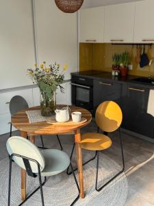 Kuchyň nebo kuchyňský kout v ubytování Apartament nad jeziorem + 16 fotografií