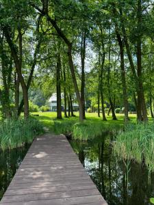 a wooden path through a park with trees and water at Apartament nad jeziorem in Barlinek