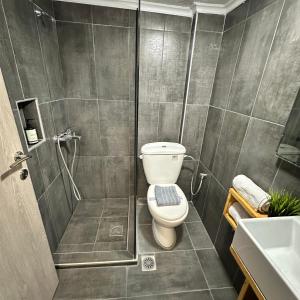 a bathroom with a toilet and a shower at R&T Apartments in Kallithea Halkidikis