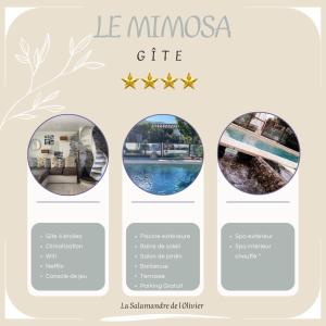 una schermata del sito del caffè Le Mimosa di La Salamandre de l Olivier - le Mimosa ad Aubignosc