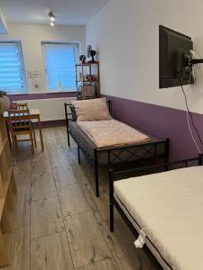 TV/Unterhaltungsangebot in der Unterkunft Fremdenzimmer Sas