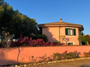 a house with pink flowers on a wall at Domo Rosada in Ottava Sassari