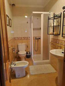 a bathroom with a toilet and a shower and a sink at Arca de Noé in Valle de Oro