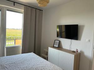 TV a/nebo společenská místnost v ubytování Samorin XBS view apartman plus parking