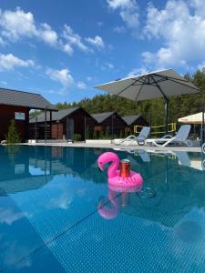 KopańOsada Lekranka的水中带粉红色火烈鸟的游泳池