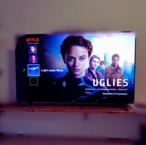 TV a/nebo společenská místnost v ubytování L'abri côtier