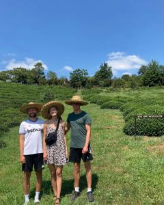 trois personnes portant des chapeaux debout dans un champ dans l'établissement Taba tea house & tea garden, à Ozurgetʼi