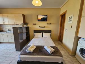 Postel nebo postele na pokoji v ubytování Serenity LX Apartments
