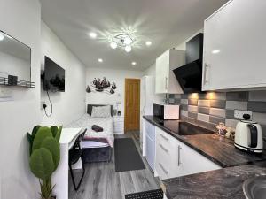 Kuchyň nebo kuchyňský kout v ubytování Private Mini Studio Room in Moseley