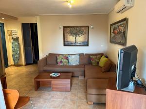 un soggiorno con un divano marrone e una TV di VERDE BLUE 313 Barbati a Barbati