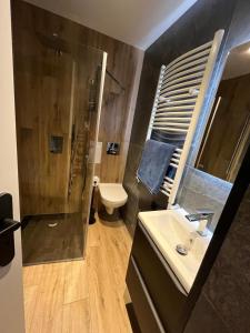 a bathroom with a shower and a sink and a toilet at W Izerach - Apartament Superior in Szklarska Poręba