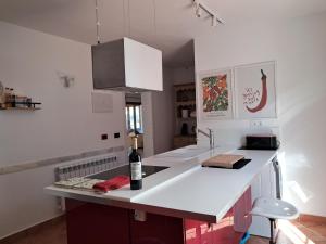Kuchyň nebo kuchyňský kout v ubytování Villa Portitxol en Moraira