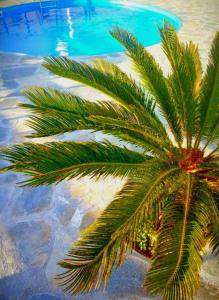 Πισίνα στο ή κοντά στο Three Waves Maisonettes - Manoussos