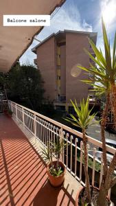 a balcony with two palm trees and a building at Sweet Rome Ipogeo Degli Ottavi in Rome