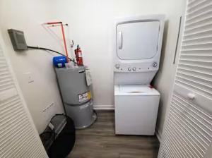 a laundry room with a dryer and a machine at Lakewoodlyon Park Renovated Cottage Near Duke 23a in Durham