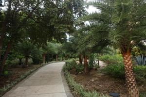 Um jardim no exterior de Plaza Carlota 4 At Las Catalinas-1 Br Sofa Bed