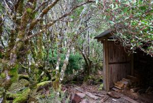 山林小屋周边自然景观
