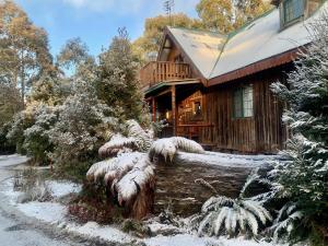 摇篮山Cradle Highlander的雪地树林中的小木屋