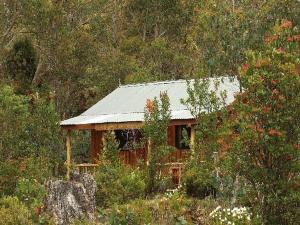 山林小屋周边自然景观