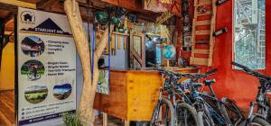 Jízda na kole v ubytování Starlight Mountain Lodge nebo okolí