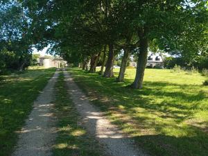 a dirt road with trees on either side at Maison du manoir in Kerlouan