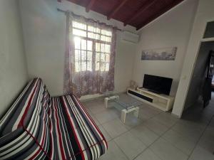 a living room with a couch and a television at Appartement cosy et lumineux in Les Abymes