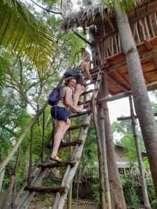 Hosté ubytování Coconut Tree House