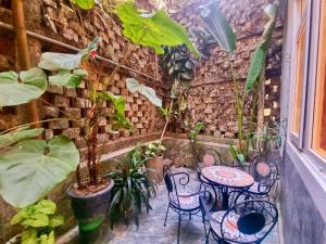 Vrt pred nastanitvijo Tulip Hotel 3