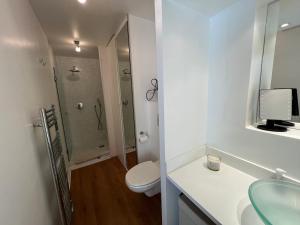 a bathroom with a toilet and a sink and a shower at Appartement T4 Duplex Centre Arcachon, Terrasse Sud, Proche Plage et Commerces, Parking Inclus - FR-1-474-3 in Arcachon +11 photos