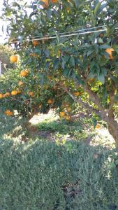 Galeriebild der Unterkunft Jenny`s House in Supetar