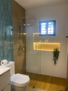 a bathroom with a toilet and a glass shower at Mila's House in La Romana +10 photos