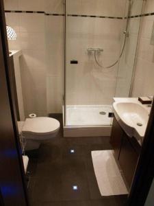 a bathroom with a shower and a toilet and a sink at Apartament 43 "Zachodni" - Pod Aniołem in Kazimierz Dolny