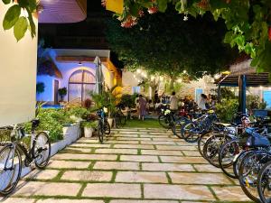 Jízda na kole v ubytování Hồ Cốc Homestay nebo okolí