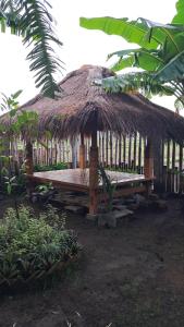Zahrada ubytování Mantra Yoga Homestay