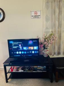 Televiisor ja/või meelelahutuskeskus majutusasutuses Emerald City Studio Suite