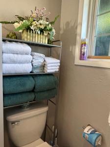a towel rack above a toilet in a bathroom at Emerald City 3 Bedroom 1 bath Home in Eugene +20 photos
