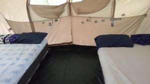 Postel nebo postele na pokoji v ubytování Campamento Yaax Che en Calakmul