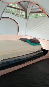 Postel nebo postele na pokoji v ubytování Campamento Yaax Che en Calakmul