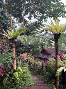 Serenity Lodge Tetebatu Lombok外面的花园