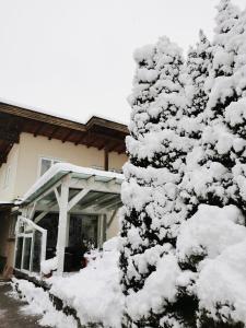 a snow covered pine tree in front of a house at Ferienwohnung Christina in Ried im Zillertal