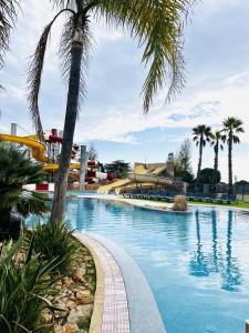 una piscina con una palmera y un tobogán en MobilHomeTorreilles, en Torreilles