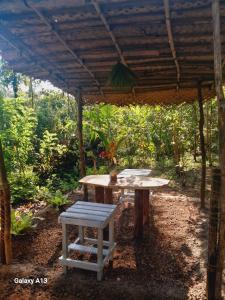 Zahrada ubytování Eco Retreat