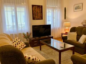ein Wohnzimmer mit Sofa und Fernseher in der Unterkunft Wagner Apartman in Szeged