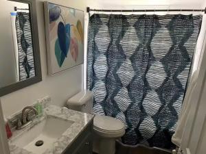 a bathroom with a toilet and a shower curtain at Lovely One Bedroom Apartment in Merrillville