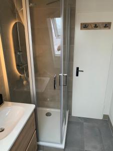 een douche met een glazen deur in een badkamer bij Ferienwohnung Wolkenplatz in Winterberg +21 foto's