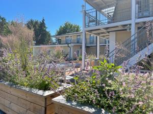 a garden in front of a building with flowers at Villa Beddingestrand in Beddinge Strand