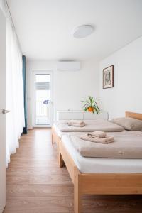 ブルノにあるNew apartment near the centre of Brnoの白い壁とウッドフロアの客室で、ベッド2台が備わります。