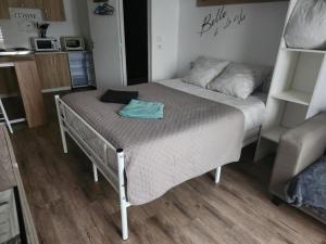 Postel nebo postele na pokoji v ubytování Studio avec terrasse