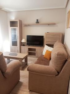 a living room with a couch and a television at PLAZA AYUNTAMIENTO 3 HABITACIONES PONDoS in Linares