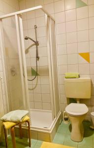 a bathroom with a shower and a toilet at Appartement Johanna in Schwarzenberg am Bohmerwald +20 photos